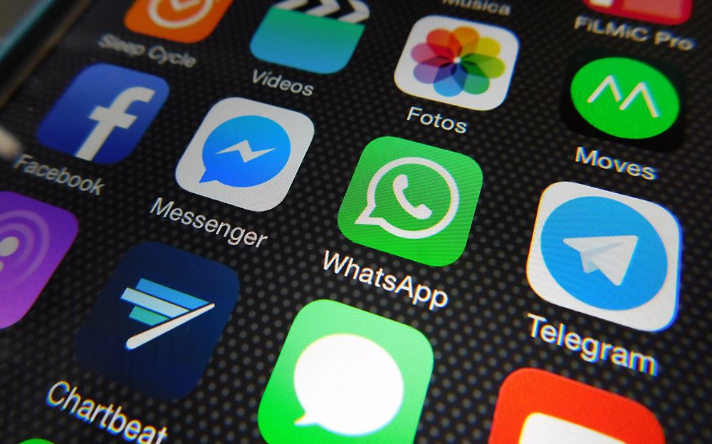 Telegram Accounts