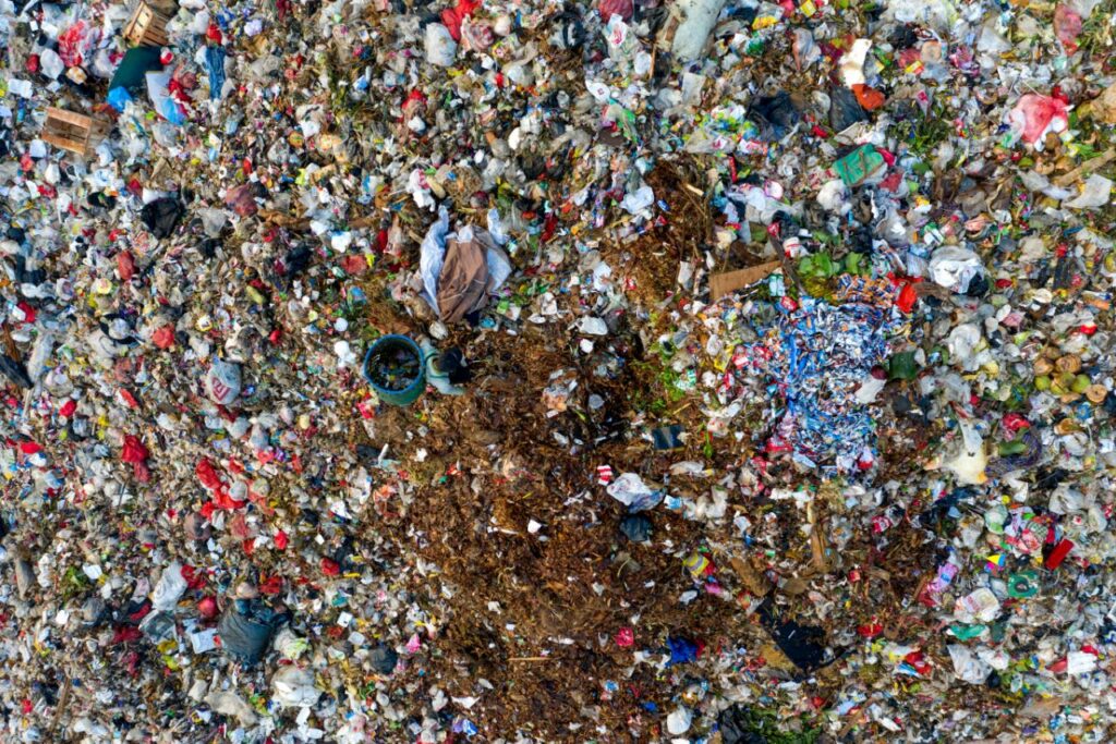 how microplastics damage the human body